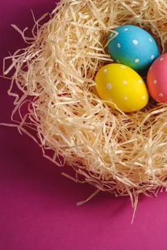 Colorful polka dot Easter eggs in wooden nest on pink purple plain background Stock Photos