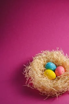 Colorful polka dot Easter eggs in wooden nest, greeting card, copy space Stock Photos