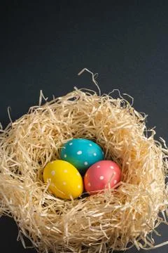 Colorful polka dot Easter eggs in wooden nest on dark plain background Stock Photos