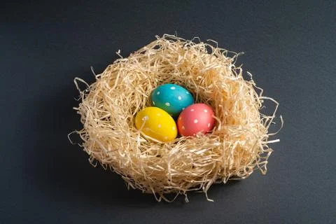 Colorful polka dot Easter eggs in wooden nest, greeting card Stock Photos