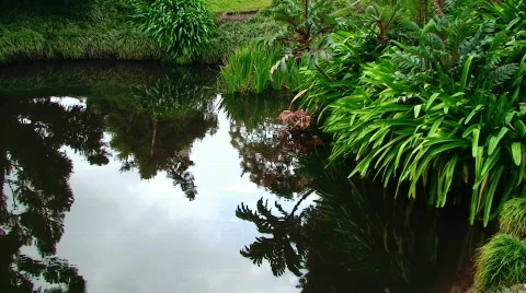 Colorful Pond Reflection Stock Footage 634285