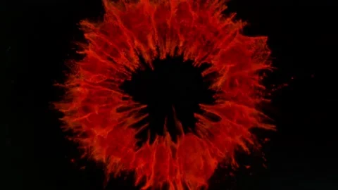 Colorful powder exploding on black background in super slow motion. Stock Footage 131252698