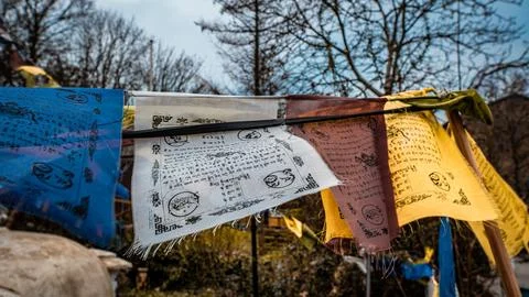 Colorful prayer flags flutter gently in a quiet forest Stock Photos