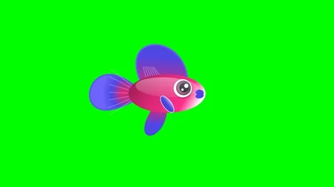Colorful Professional on Chroma Key for Compositing Stock Footage 336959053