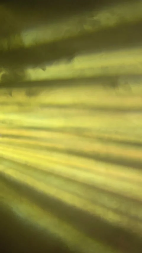 Colorful projector rays in smoke on black background. Stock Footage 313204886