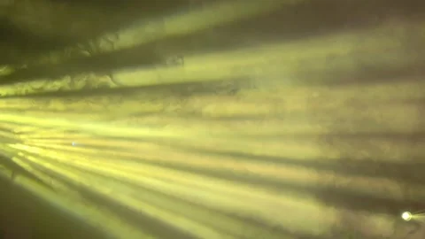 Colorful projector rays in smoke on black background. Stock-Footage 313211544