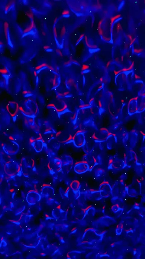 Colorful psychedelic-like lights Stock Footage 255908312