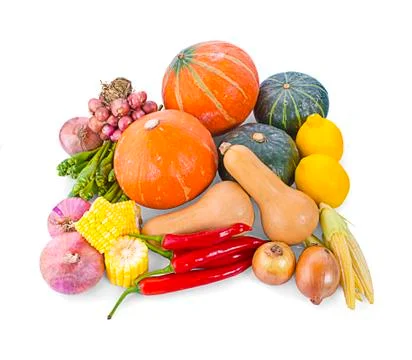 Colorful pumpkin and squash, Red Kuri, Kabocha, Butternut Foto stock