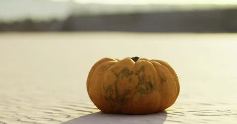 Colorful pumpkin placed on a light surface under a warm sunlight Stock Illustration