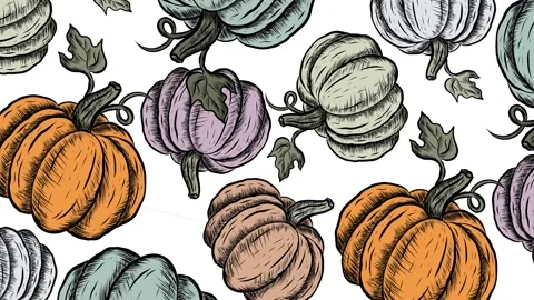 Colorful pumpkins pattern Video stock 251444759
