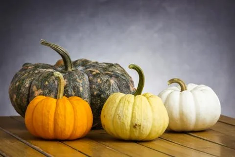 Colorful pumpkins Stock Photos