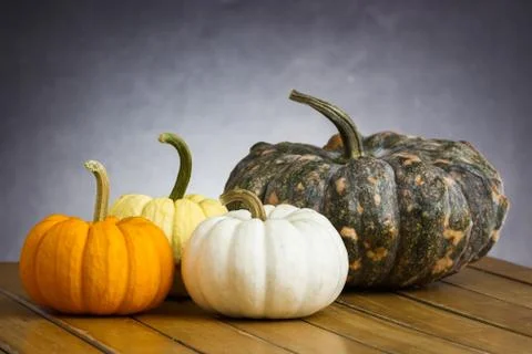 Colorful pumpkins Stock Photos