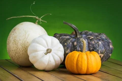 Colorful pumpkins Stock Photos