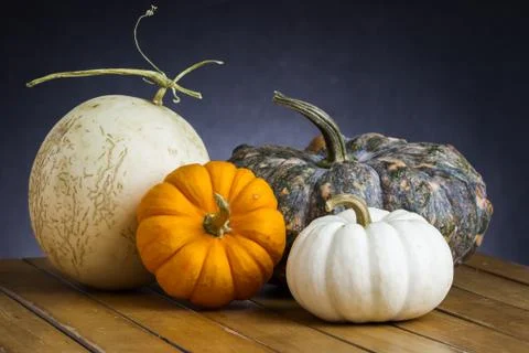 Colorful pumpkins Stock Photos