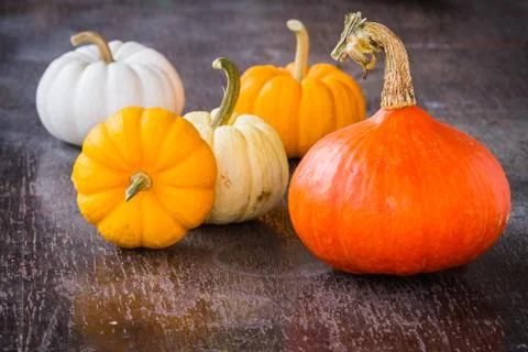 Colorful pumpkins Stock Photos