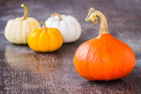 Colorful pumpkins Stock Photos