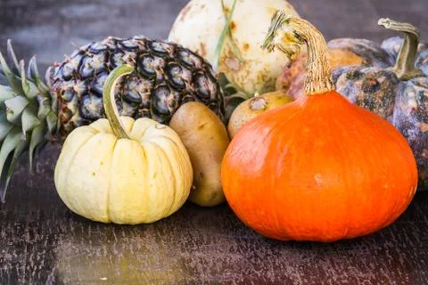 Colorful pumpkins Stock Photos