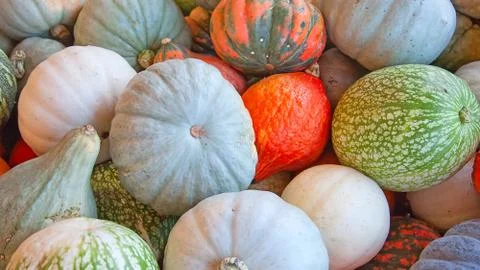 Colorful pumpkins Foto stock