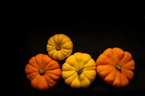 Colorful pumpkins on wood table with dark background and space for text Stock Photos