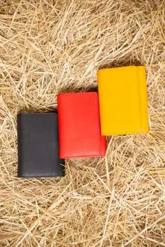 Colorful purses in the hay Stock Photos