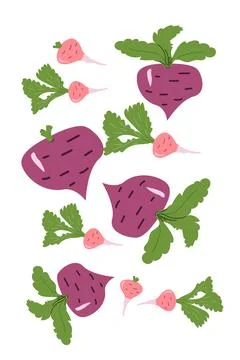 Colorful radish and turnip pattern with green leaves on white background Stock Illustration