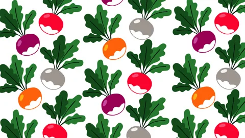 Colorful Radish Pattern Motion Graphic Background Fresh Vegetable Food Anima Stock Footage 346257111