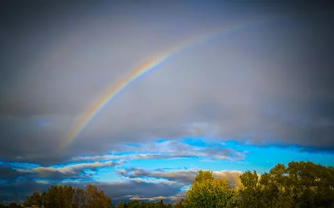Colorful rainbow arching across dramatic storm clouds above sunlit green tr.. Фото