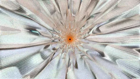 Colorful Rainbow Background 03. Video stock 296091271