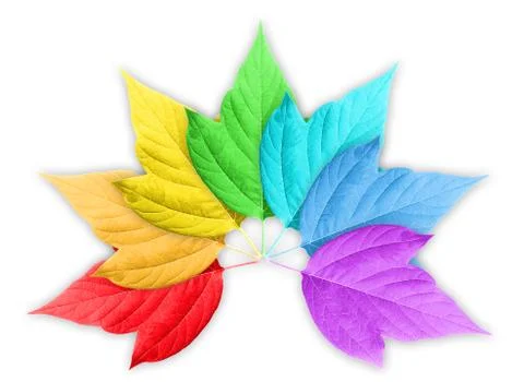 Colorful rainbow gradient with group of leafs Stock Photos