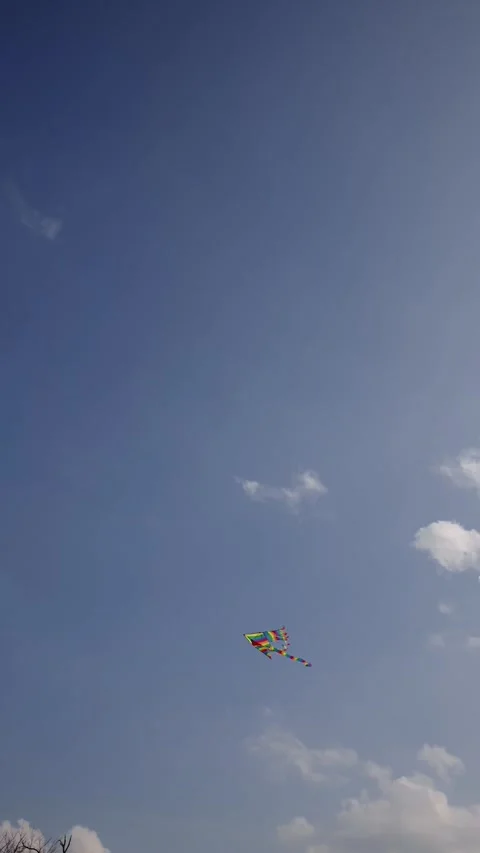 A colorful rainbow kite flying high in the blue sky on a sunny day. 4k vertical Stock Footage 316618195
