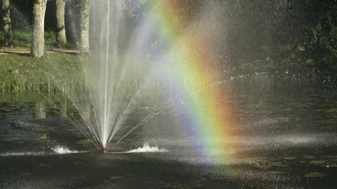 Colorful rainbow view Stock Footage 80999312