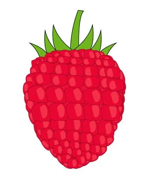 Colorful Raspberry vector design art Stock Illustration