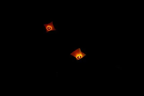 Colorful Rectangle paper floating lanterns are flying to dark night skies in  Stock Photos