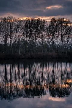Colorful reflections of trees on the river Foto stock