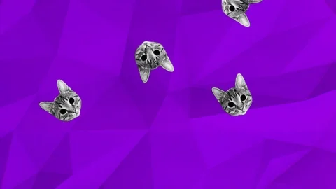 Colorful retro falling kitten cats animation on a purple geometric background Video stock 114443389