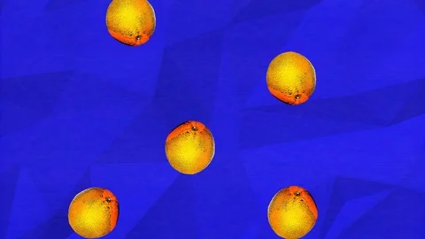 Colorful retro falling whole oranges animation on a blue geometric background 스톡 동영상 114654961