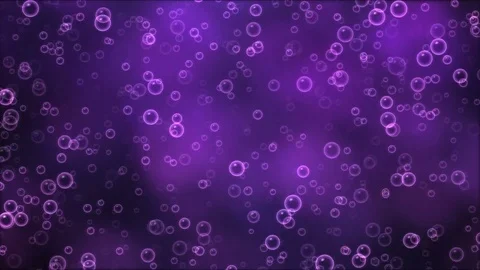 Colorful Rising Bubbles Animation - Loop Purple Stock Footage 75441352