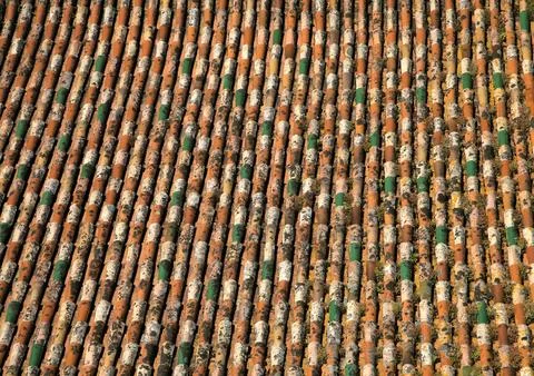 Colorful rooftop tiles create a patchwork in sunlight over a building Stock Photos