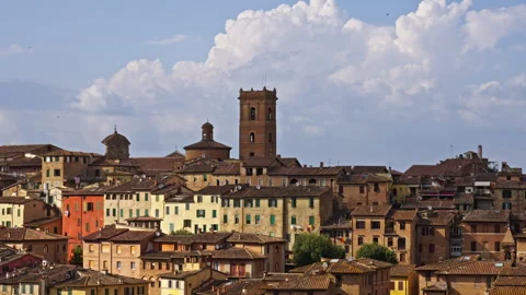 Colorful Rooftops and Tower View in Siena, Tuscany Vídeo Stock 256025304