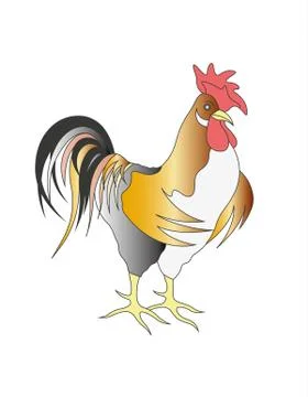 Colorful rooster. Stock Illustration