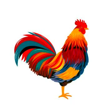 Colorful rooster Illustrazione stock
