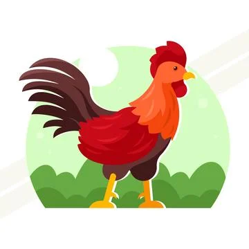 Colorful-rooster Stock Illustration