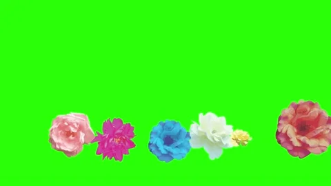 Colorful roses flowers elements animation chroma key, graphic source Video stock 153755484