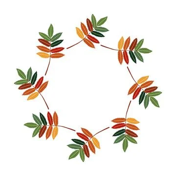 Colorful rowan leaves circular frame on white background Ilustração Stock