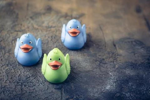 Colorful rubber ducks Stock Photos