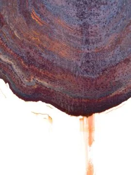 A colorful rusty panel Foto stock