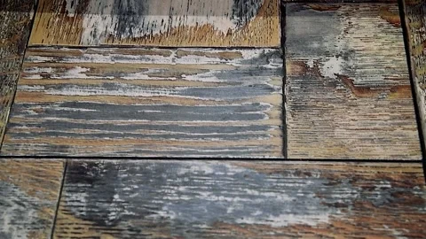 Colorful samples of ceramic tiles are displayed on the store shelf. Stock Footage 205062719