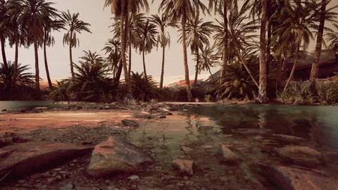 Colorful scene with a palm tree over a small pond in a desert oasis Ilustração Stock