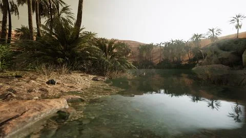 Colorful scene with a palm tree over a small pond in a desert oasis Ilustração Stock