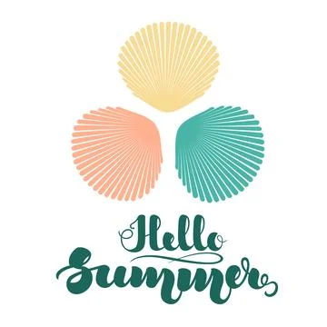 Colorful sea shells in flat style and handwritten lettering Hello Summer . .. Stock Illustration